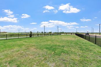 Dog park